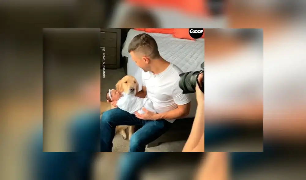 Desliza las imágenes para ver la emotiva escena que protagonizó un perro al conocer a la hija de su dueño. Foto: Woof Woof