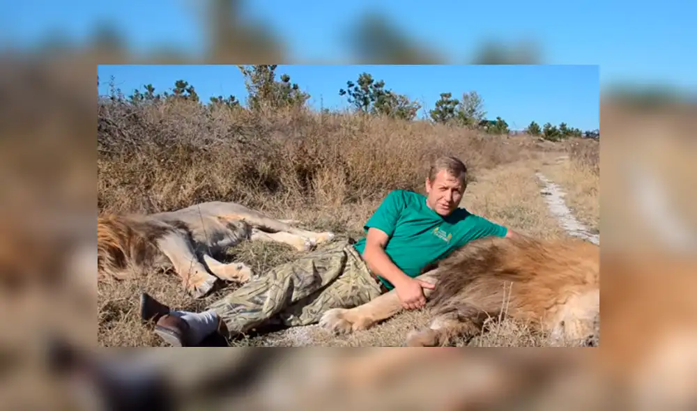 Desliza hacia la izquierda para ver la reacción de león que se volvió viral en YouTube.
