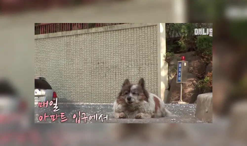 Desliza para ver detalles de esta historia que se viralizó en Facebook. Foto: Captura.