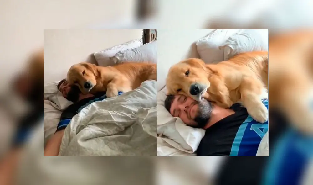 Desliza las fotografías para ver la cautivadora escena que protagonizó la mascota de una joven con su novio. Foto: Captura/Facebook Desliza las fotografías para ver la cautivadora escena que protagonizó la mascota de una joven con su novio. Foto: Captura/Facebook