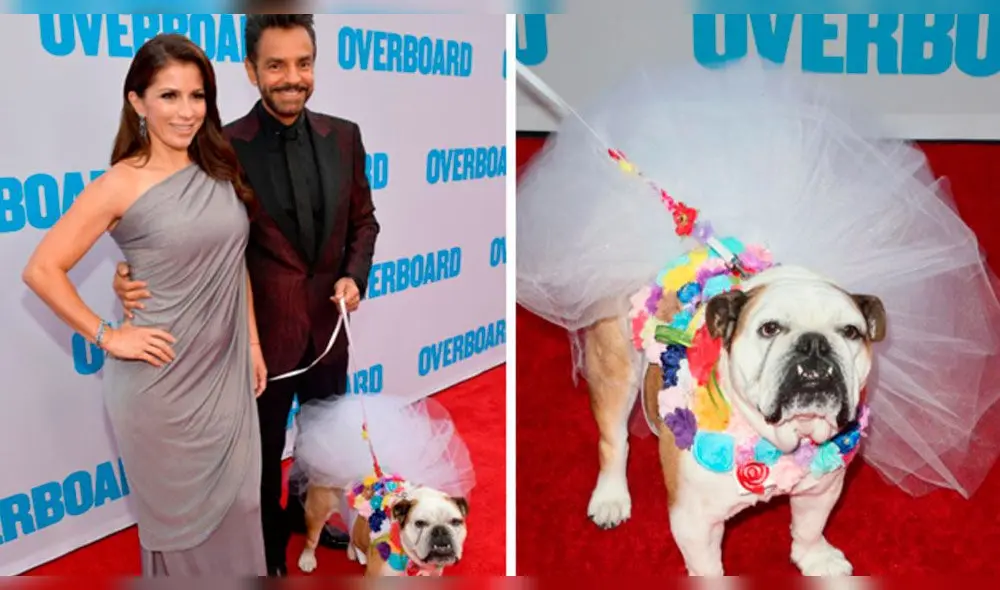 Eugenio Derbez termina con cara desfigurada por defender a perro Eugenio Derbez termina con cara desfigurada por defender a perro