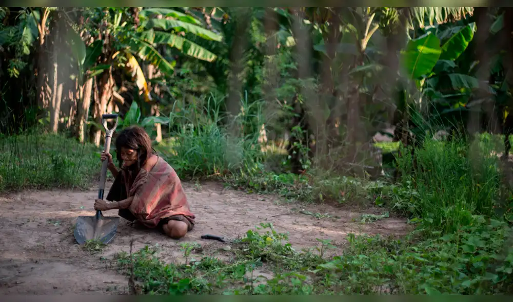 Comunidades indígenas de Madre de Dios piden recibir bono de S/380 para subsistir [VIDEO]