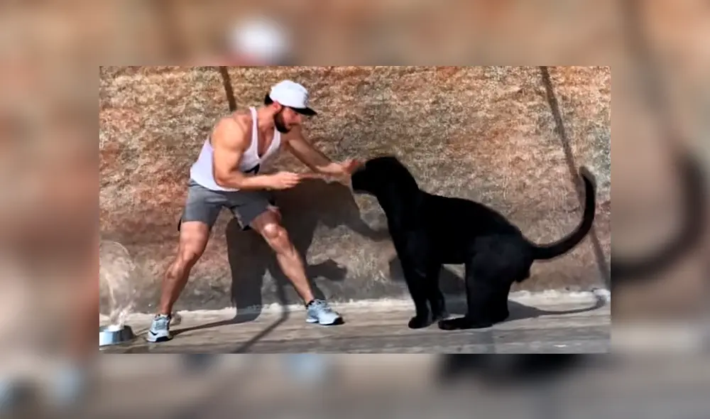 Entrenador ingresa a jaula de jaguar, sin imaginar lo que pasaría.