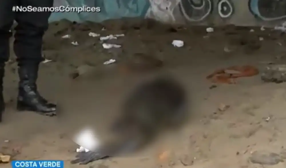 Biólogo de ORCA Perú recomendó a la población no acercarse cuando un lobo marino está varado. Foto: Captura de TV Perú