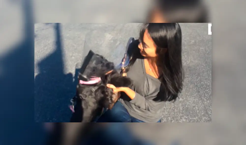 Desliza las imágenes para ver la emotiva escena que protagonizó una perrita ciega y su dueña. Foto: Captura/Youtube Desliza las imágenes para ver la emotiva escena que protagonizó una perrita ciega y su dueña. Foto: Captura/Youtube