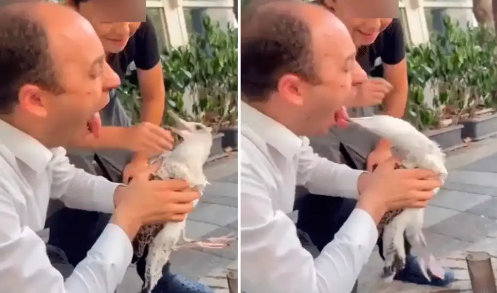 El hombre no imaginó la reacción del ave. Foto: captura de NYP El hombre no imaginó la reacción del ave. Foto: captura de NYP