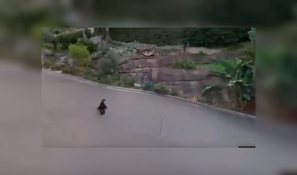 Curioso hallazgo con las cámaras de Google Maps se hace viral en las redes sociales. Curioso hallazgo con las cámaras de Google Maps se hace viral en las redes sociales.