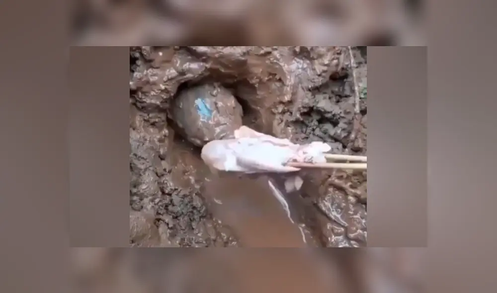 Desliza hacia la izquierda para ver la extraña pesca que hizo un joven tailandés.  Imágenes de Facebook.