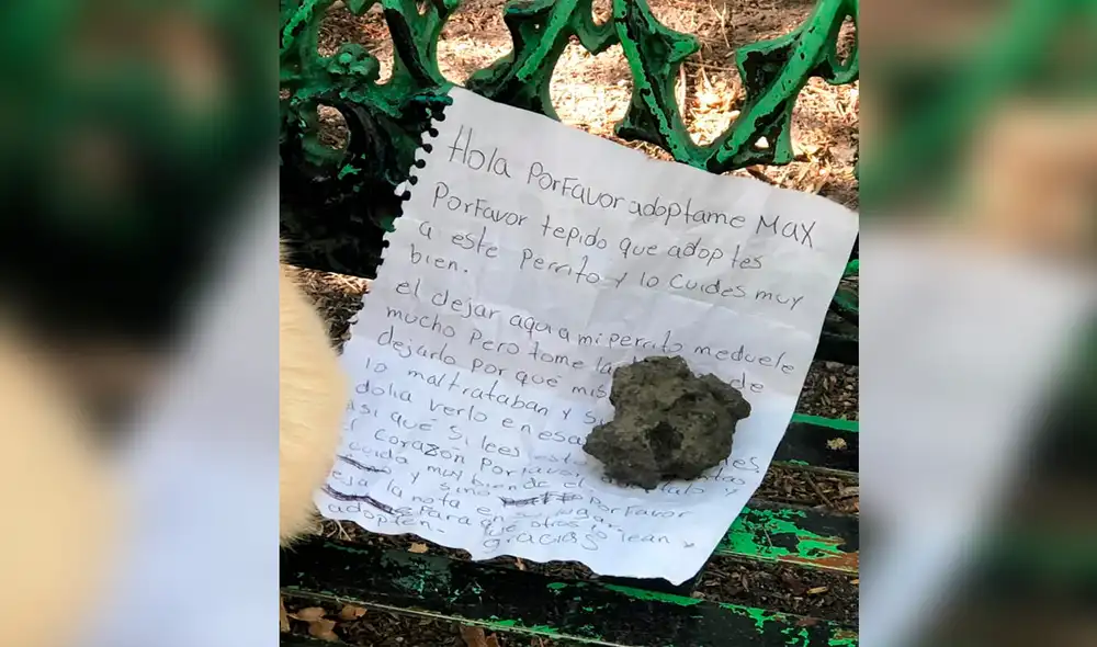 Perrito con la mirada triste tras ser abandonado en la banca de un parque