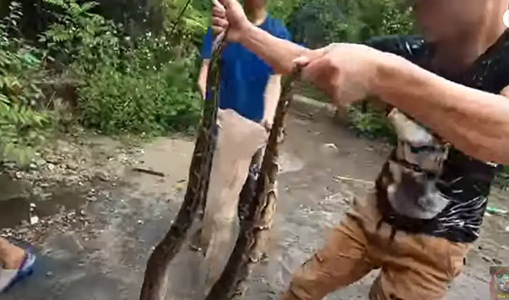 Desliza hacia la izquierda para ver las imágenes del video viral. Foto: Usuario/YouTube.