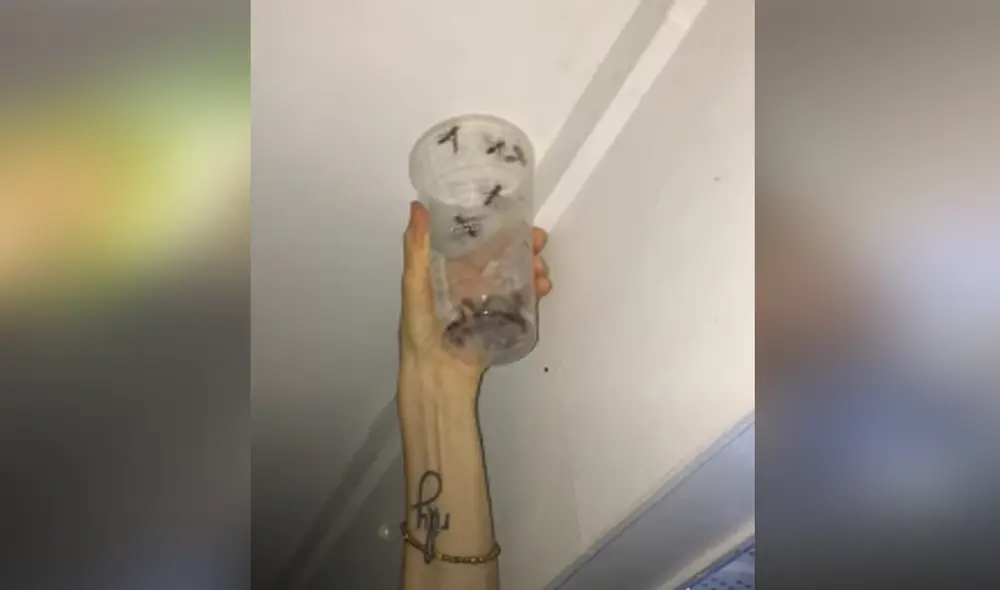 Desliza hacia la izquierda para ver las imágenes del video viral. Foto: Captura de YouTube.