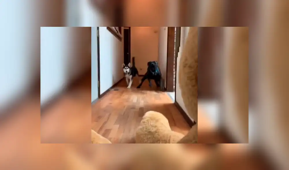 Desliza la imagen de YouTube para verlas todas. Desliza la imagen de YouTube para verlas todas.