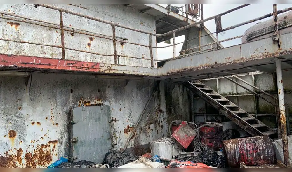 Embarcaciones representarían un peligro para el ecosistema marino.