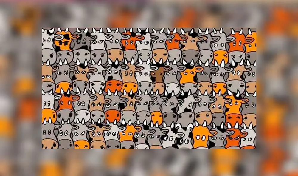 ¿Logras ver al perro bebé oculto entre vacas? El reto visual que casi nadie puede resolver [FOTOS]