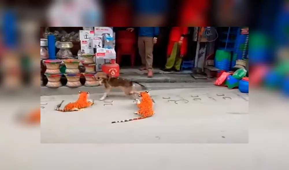 Desliza las imágenes hacia la izquierda para observar la reacción de un perro tras ser víctima de una pesada broma.