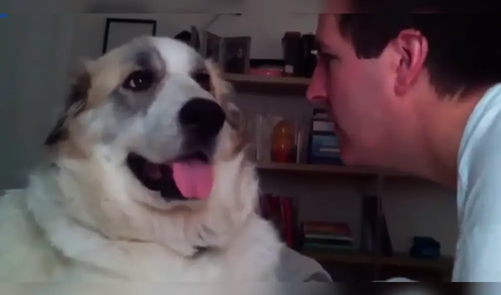 YouTube: Recibió cruel respuesta de su perro al intentar darle un beso