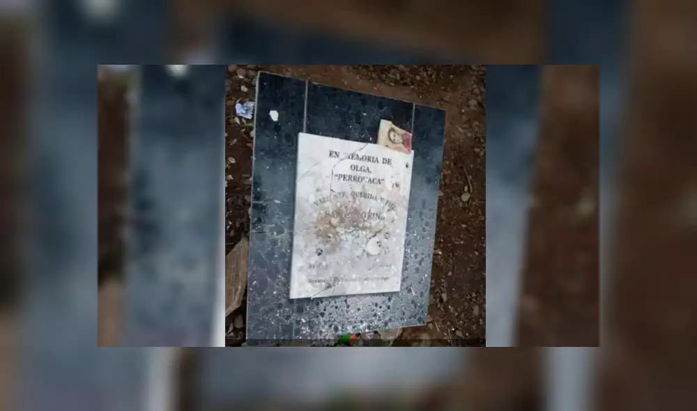¡Injusticia total! Destruyen tumba de ‘perrovaca’ aparentemente durante el concierto ‘Día del Rock’