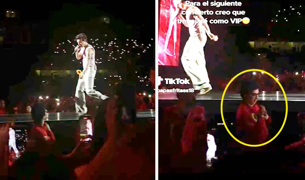 Una seguidora del cantante británico registró la curiosa reacción del trabajador cuando agarró la flor en pleno show. Foto: composición LR/TikTok/@papasfritass18