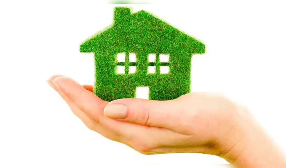 Bono Verde: se otorgaron 525 subsidios en agosto totalizados en 3 millones de soles