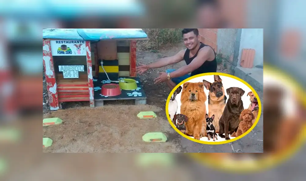 Vía Facebook: este es el primer 'restautant canino' para que Firulais tenga una cita romántica [FOTOS]