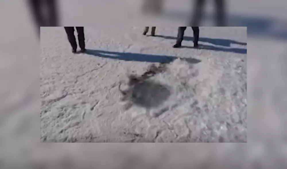 Desliza para ver los detalles del video viral publicado en YouTube. Foto: Captura. Desliza para ver los detalles del video viral publicado en YouTube. Foto: Captura.