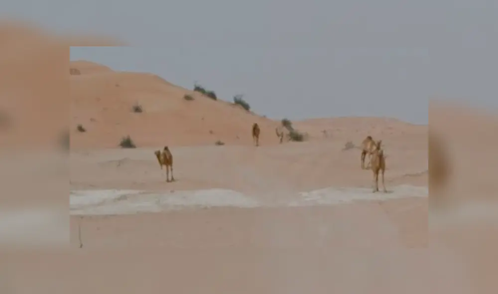 Desliza para ver las imágenes captadas por Google Maps cuando un joven realizaba un recorrido por el desierto.