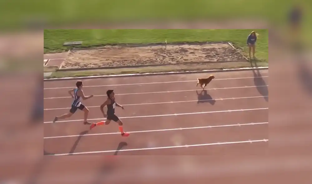Facebook viral: perro ingresa a competencia de atletismos y humilla a todos los corredores [VIDEO]