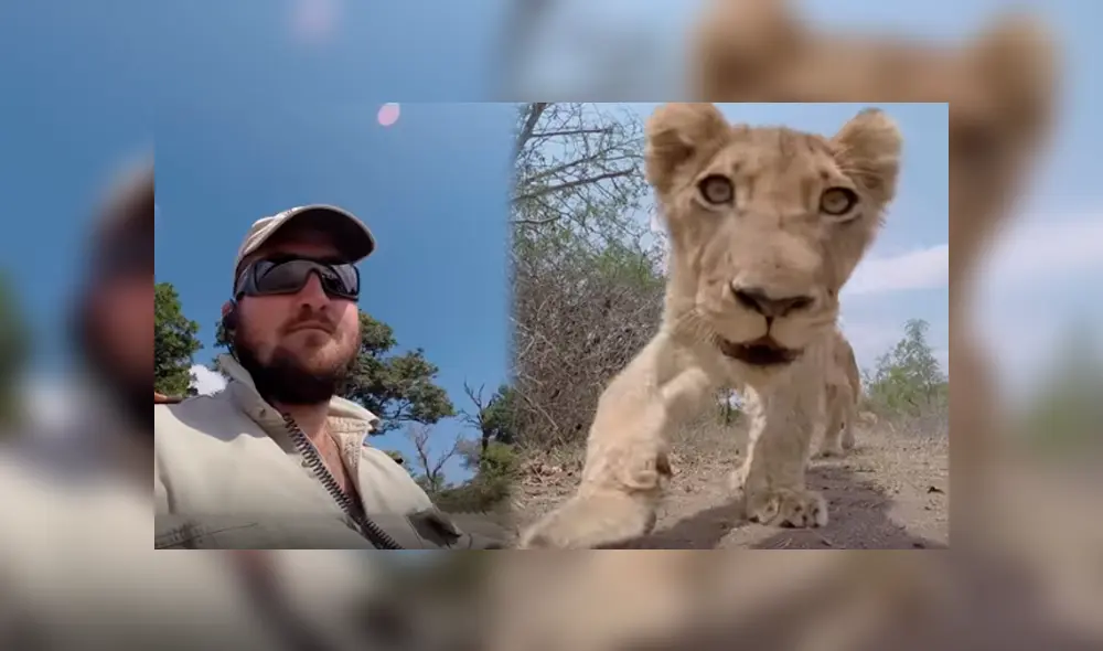 Desliza hacia la izquierda para ver a los animales silvestres que son virales en YouTube.