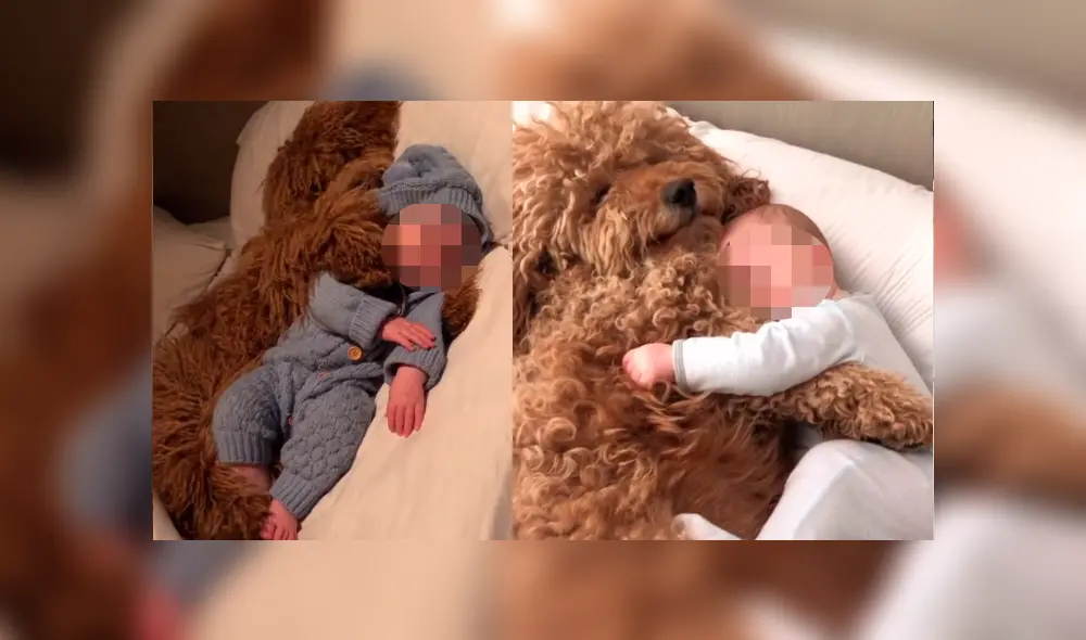 Desliza hacia la izquierda opara ver más del video viral