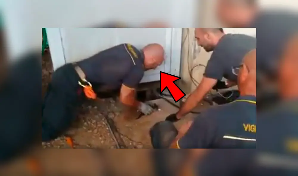 La emocionante conducta de bombero tras rescatar a un gato conmovió a sus compañeros, quienes no dudaron en grabarlo y hacerlo viral en Facebook. La emocionante conducta de bombero tras rescatar a un gato conmovió a sus compañeros, quienes no dudaron en grabarlo y hacerlo viral en Facebook.