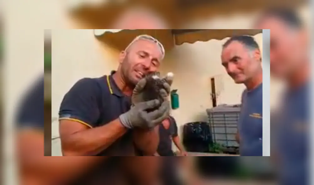 La conmovedora reacción de un bombero al rescatar a un gatito atrapado en agujero [VIDEO]