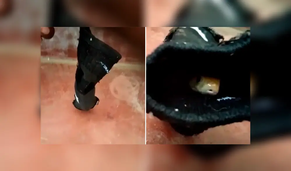 Desliza la imagen compartida en YouTube para verlas todas. Desliza la imagen compartida en YouTube para verlas todas.