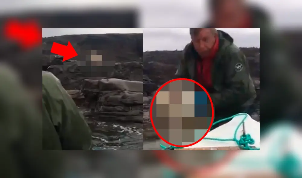 Un grupo de hombres detuvieron su pesca para rescatar a criatura.