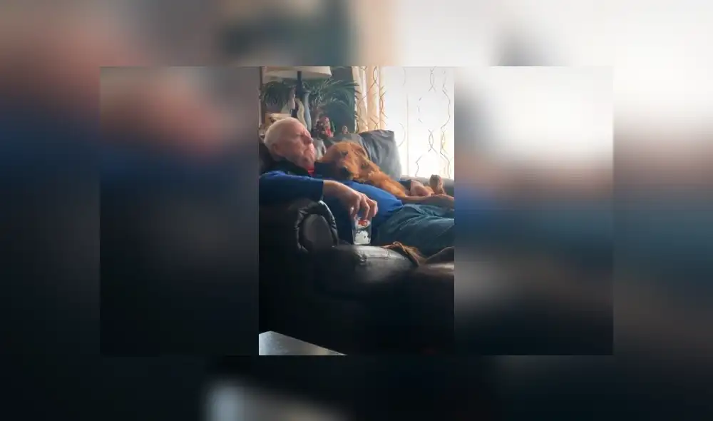 Desliza las imágenes hacia la izquierda para apreciar la conmovedora escena protagonizada por un anciano y su perro. Desliza las imágenes hacia la izquierda para apreciar la conmovedora escena protagonizada por un anciano y su perro.