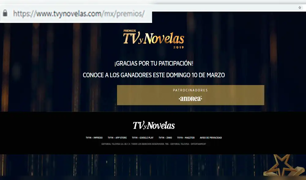 Premios TVyNovelas 2019: Amar a Muerte fue la producción más galardonada [FOTOS]