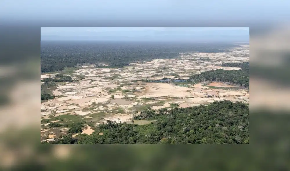 Ministerio del Ambiente: “La deforestación ha crecido en los últimos años”