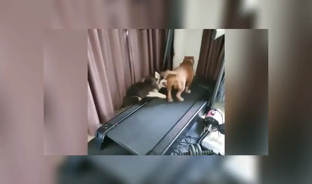 Desliza a la izquierda para ver más sobre este video viral de YouTube. Foto: Captura. Desliza a la izquierda para ver más sobre este video viral de YouTube. Foto: Captura.