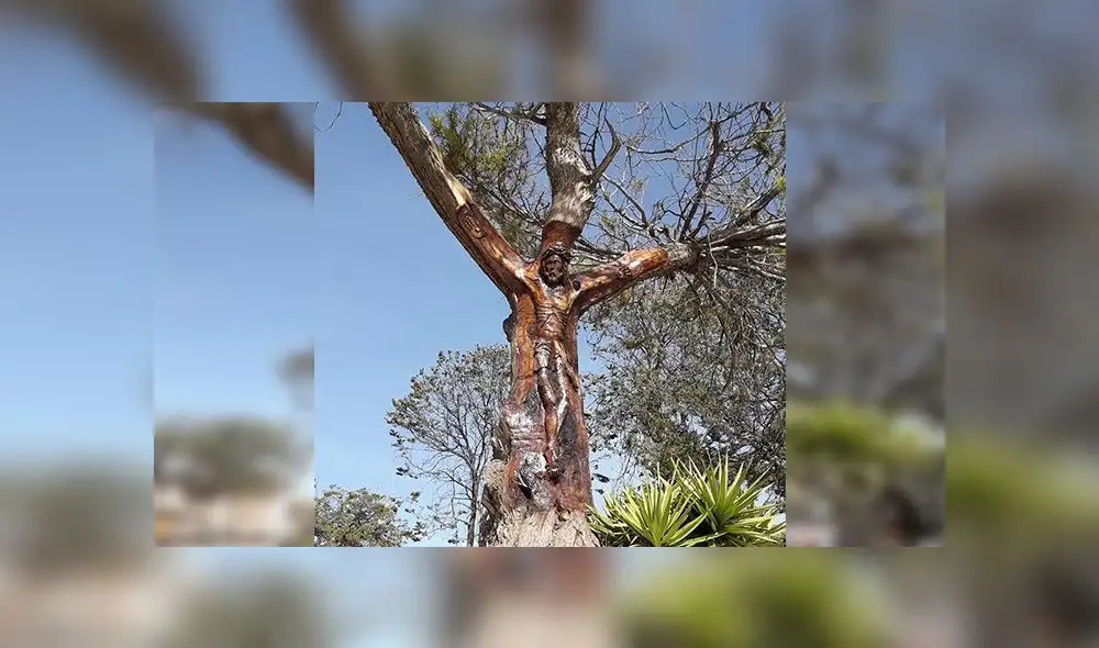 Arequipa: Artesanos tallan la imagen de Cristo en árbol de plaza de Chivay [FOTOS] 