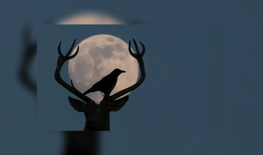 Superluna de nieve 2019: Así se vivió el majestuoso fenómeno de febrero