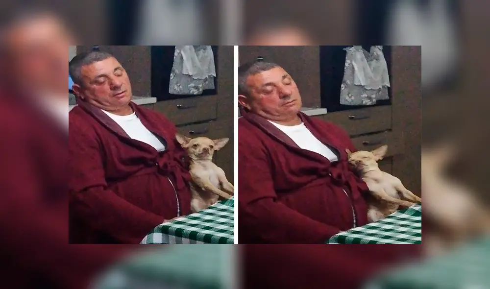 En Facebook, un padre fue descubierto en emotiva escena junto a un perro tras mostrar su rechazo por querer una mascota. En Facebook, un padre fue descubierto en emotiva escena junto a un perro tras mostrar su rechazo por querer una mascota.
