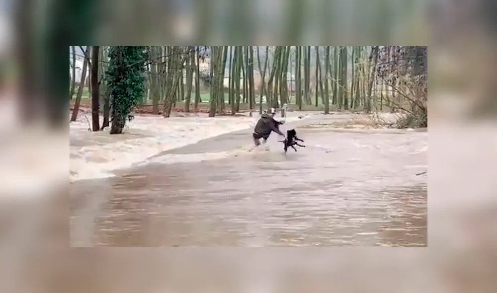 Indignación por imágenes de hombre lanzando a un perro al caudaloso río Ter [VIDEO]