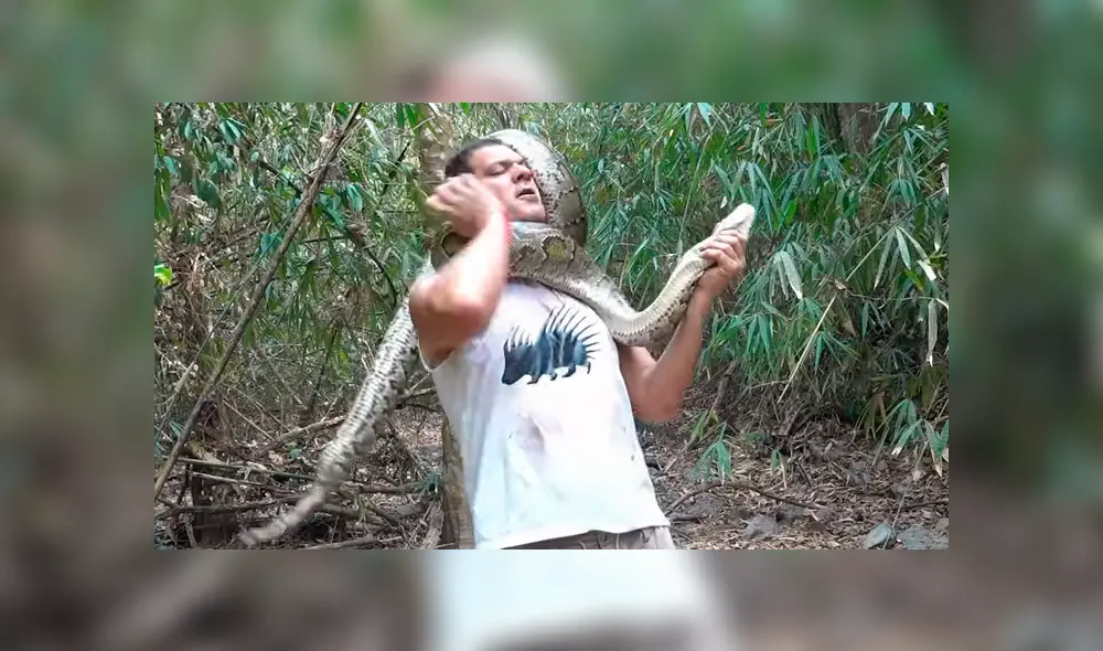 Desliza hacia la izquierda para ver la terrorífica escena en que la serpiente enrosca el cuello de un excursionista en Tailandia. El video es viral en YouTube.