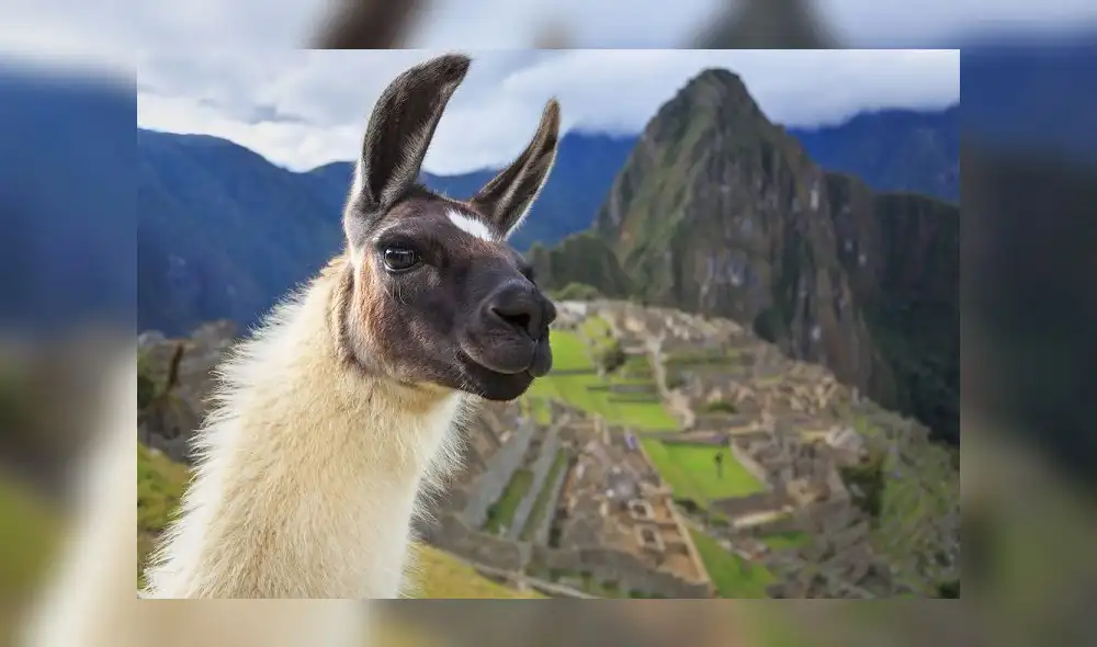 Promperú y Atrapalo.pe firman alianza para impulsar destinos nacionales