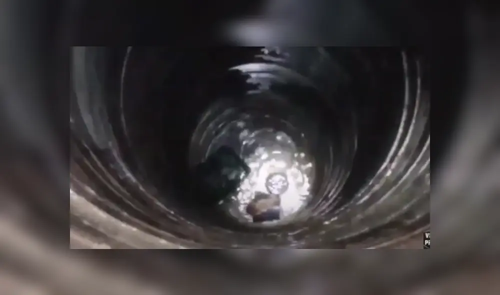 Desliza hacia la izquierda para ver las imágenes del viral de YouTube. Foto: Viral Press Desliza hacia la izquierda para ver las imágenes del viral de YouTube. Foto: Viral Press