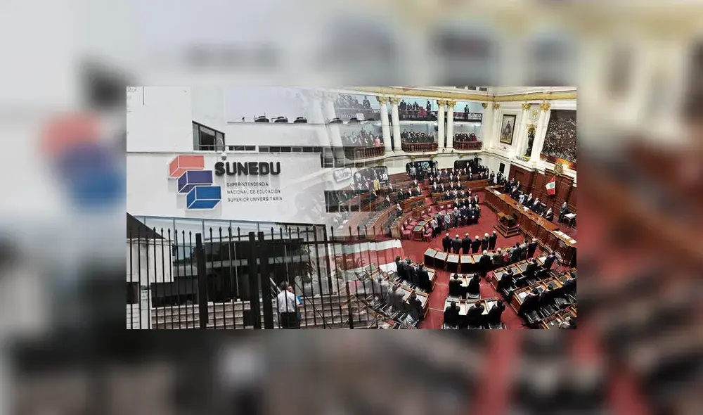 El proyecto de ley ya fue presentado por el titular de la Comisión de Educación. Foto: Composición El Popular El proyecto de ley ya fue presentado por el titular de la Comisión de Educación. Foto: Composición El Popular