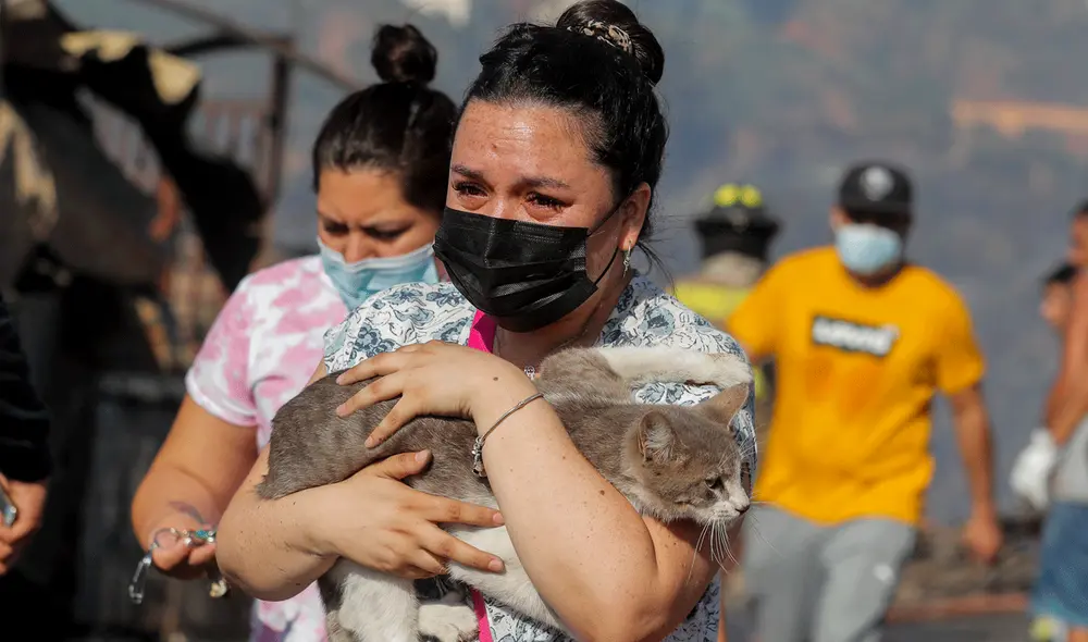 El comandante del cuerpo de Bomberos de Viña del Mar, Patricio Brito, fue quien confirmó que el incendio había devorado, inicialmente, 200 casas. Foto: AFP El comandante del cuerpo de Bomberos de Viña del Mar, Patricio Brito, fue quien confirmó que el incendio había devorado, inicialmente, 200 casas. Foto: AFP