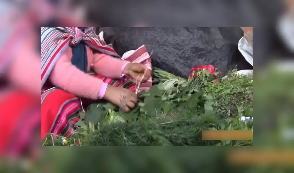 Aumentan venta de plantas medicinales. Créditos: Captura Latina.