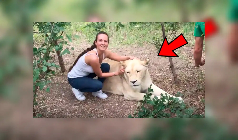 YouTube viral: Entra a calabozo de feroz depredador y este asombra a todos con una insólita reacción [VIDEO]