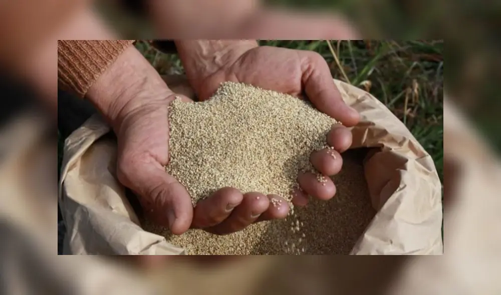Agroexportadoras de quinua observadas por el FDA ponen en riesgo mercados, según ministra