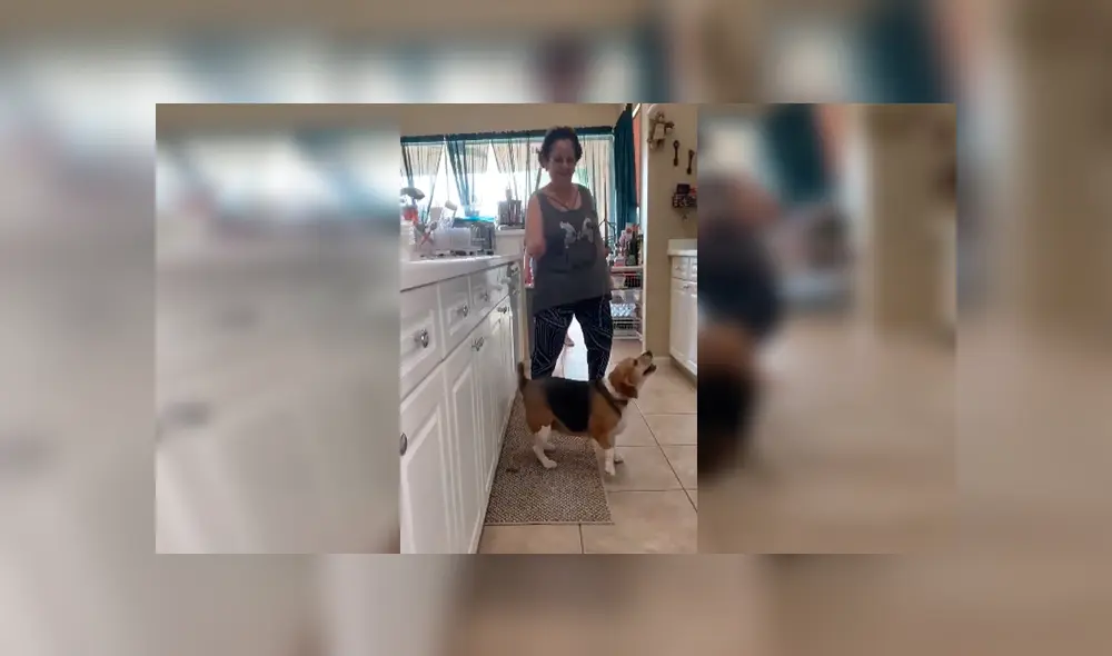 En Facebook, una joven descubrió el momento exacto que su madre y perro bailaron una canción de Sebastián Yatra. En Facebook, una joven descubrió el momento exacto que su madre y perro bailaron una canción de Sebastián Yatra.